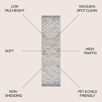 Asilah Moroccan Modern Diamond Area Rug